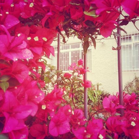 Hostel Nossa Casa Флорианополис Экстерьер фото