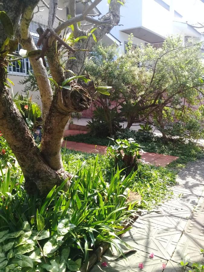Hostel Nossa Casa Флорианополис Экстерьер фото